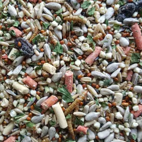 Fledge™ Mix - Energy Boost for Fledglings